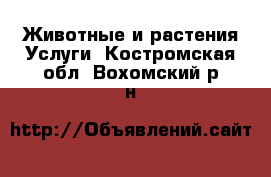 Животные и растения Услуги. Костромская обл.,Вохомский р-н